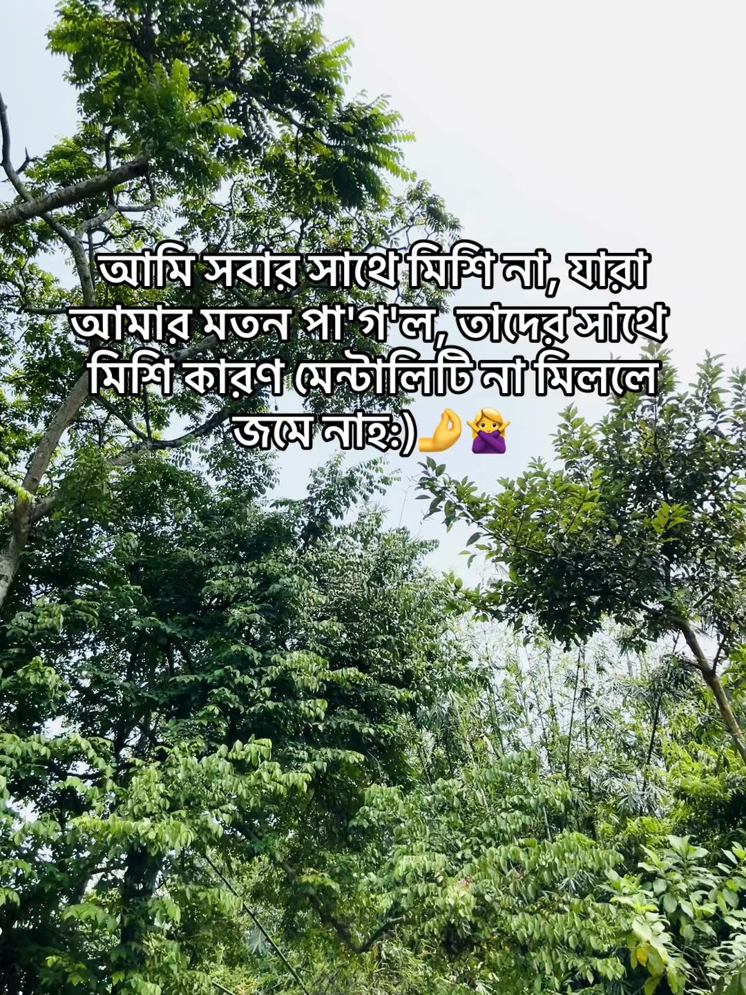 @💫 ⸻𓆩ꜱᴇɴɪᴏʀ ᴘᴏᴏᴋɪᴇ𓆪⸻ 🍒🦋
