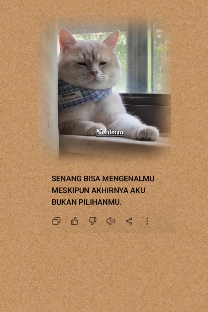@Nu'Aiman