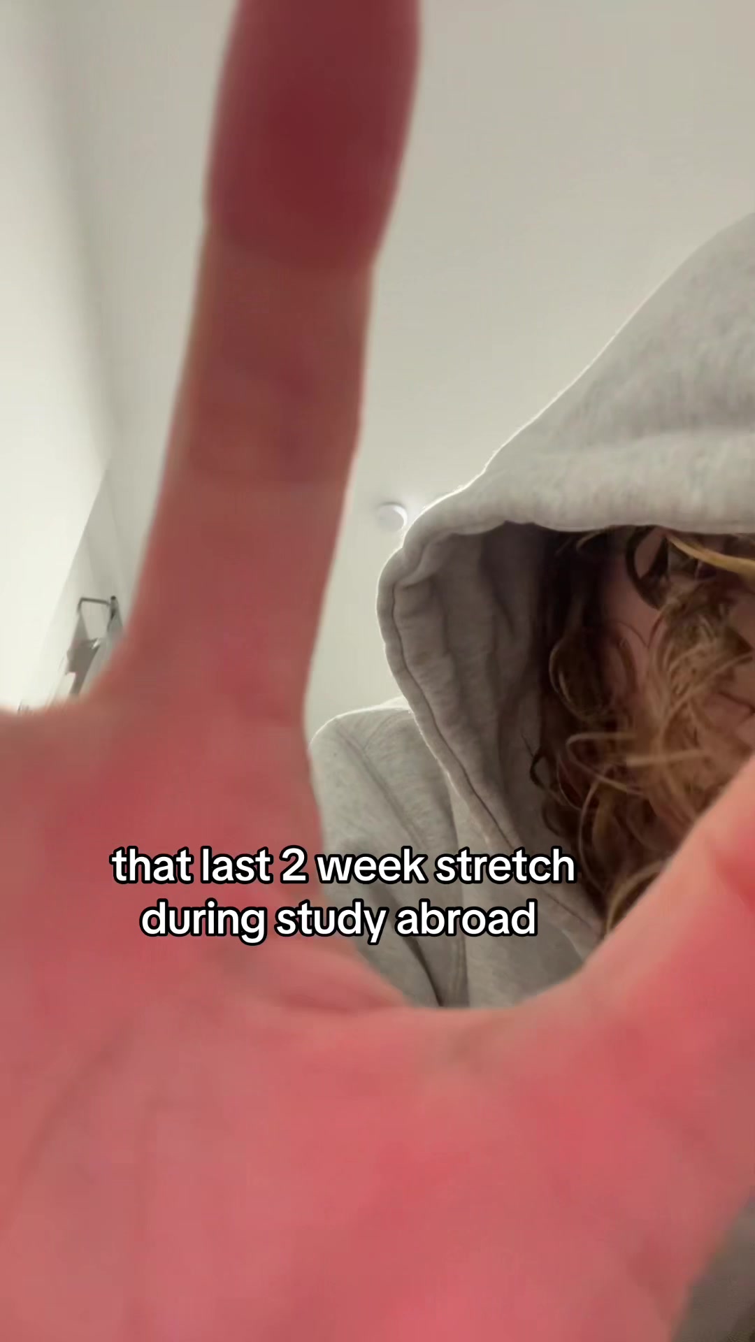 @meow