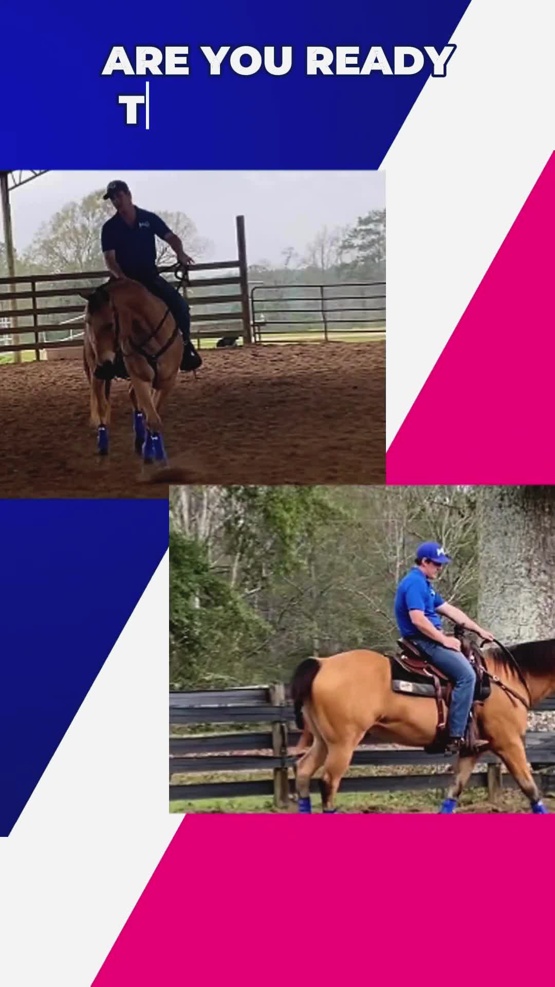 @Horse Help