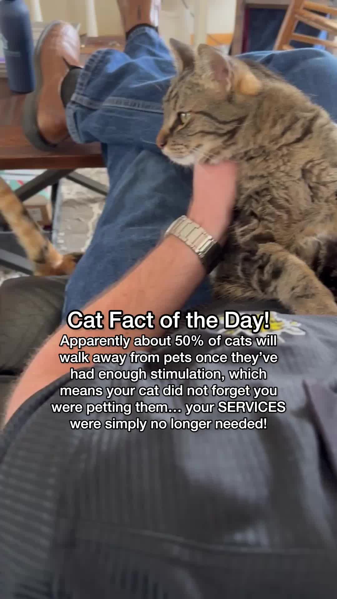 @Chip The Manx