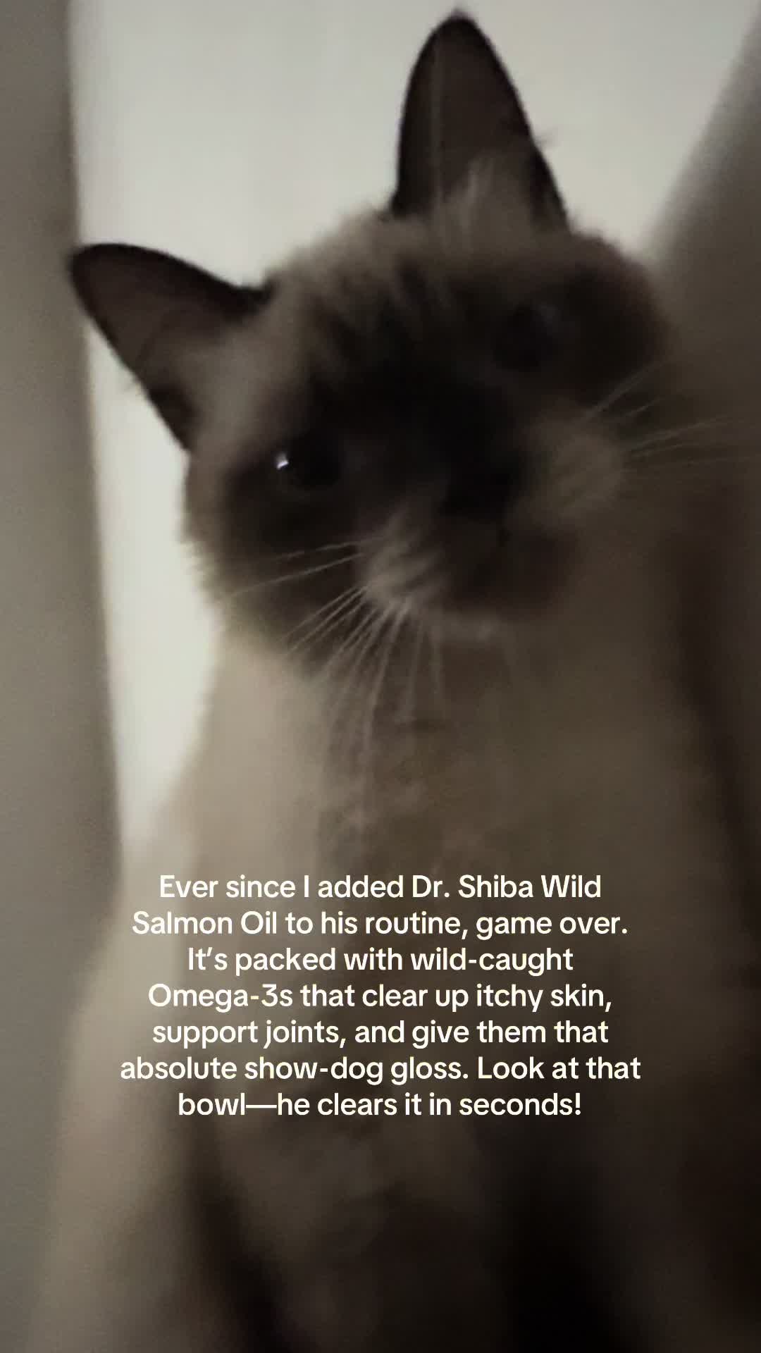 @_shrolives