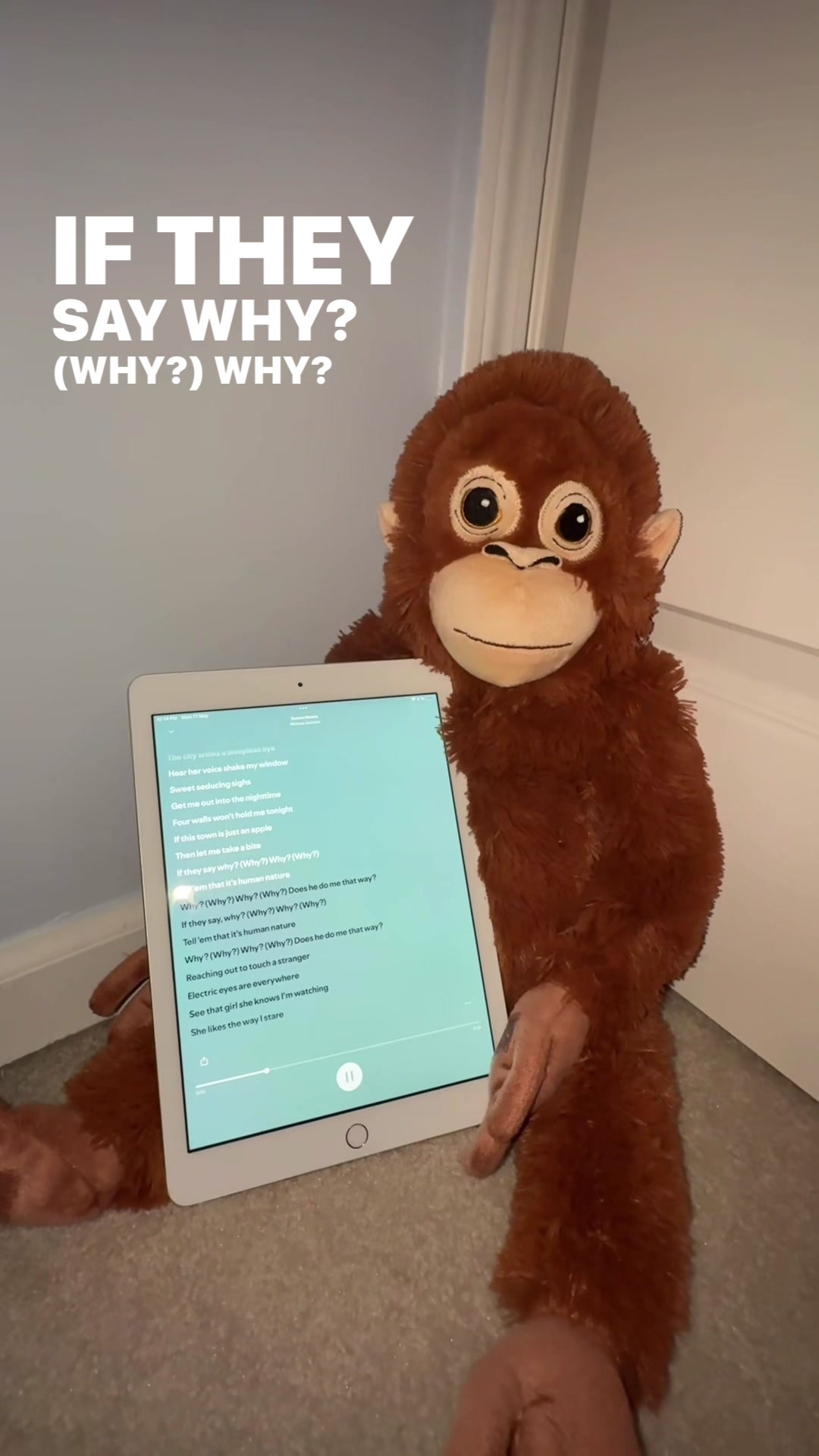 @Ziggy 🐵