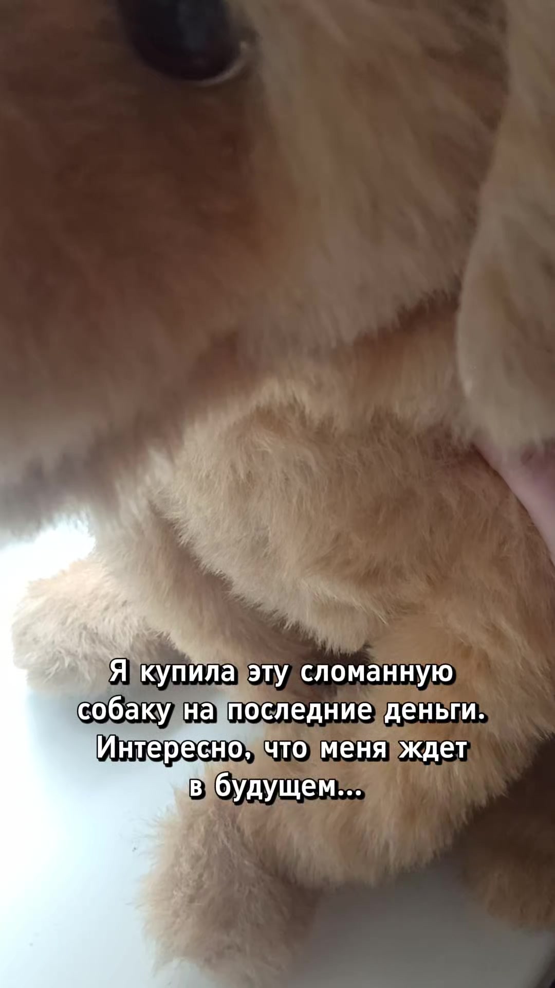 @Чевинстри
