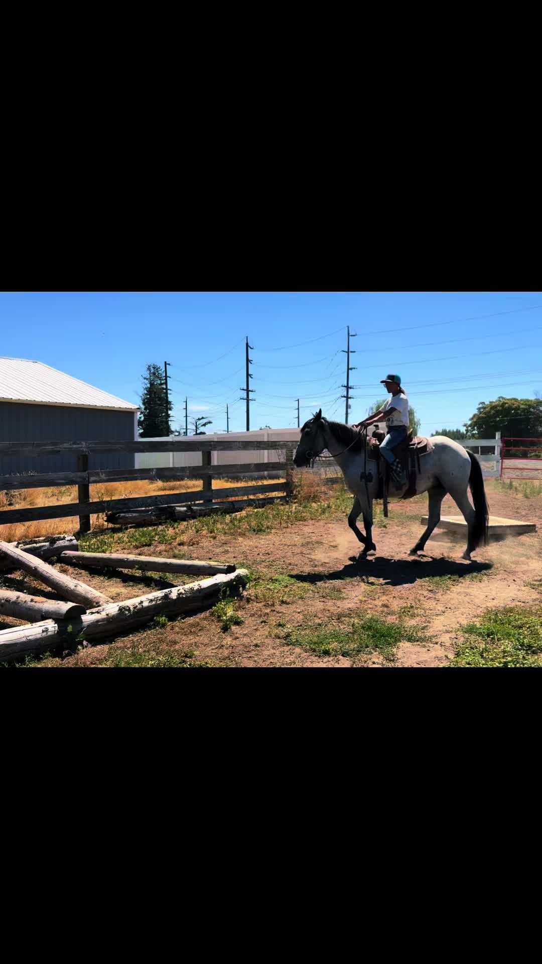 @Cowgirl Tuff Colt Training ❤️