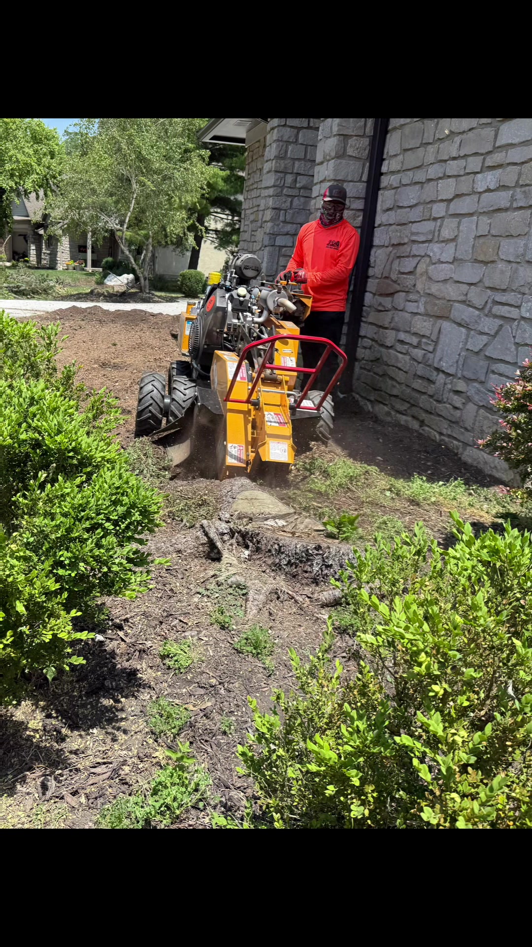 @gotreeservices6