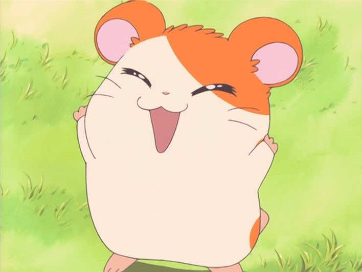@. ˚◞ ♡ ოᥙffiᥒ 🎒🐹🍭🍀 ｡* ꒱