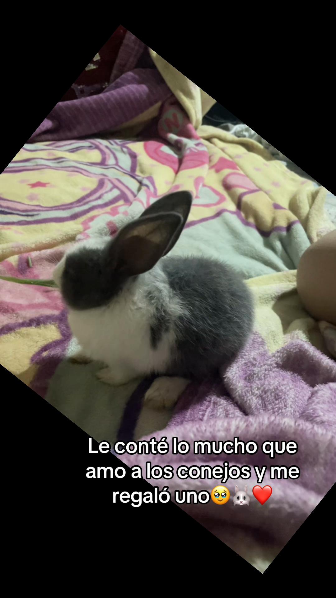 @la niña👸🏻❤️🩹