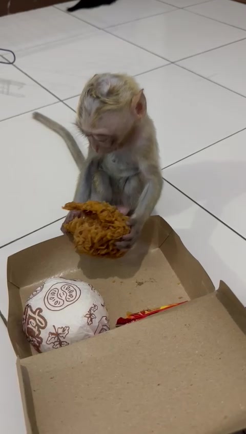 @Michelle🐒