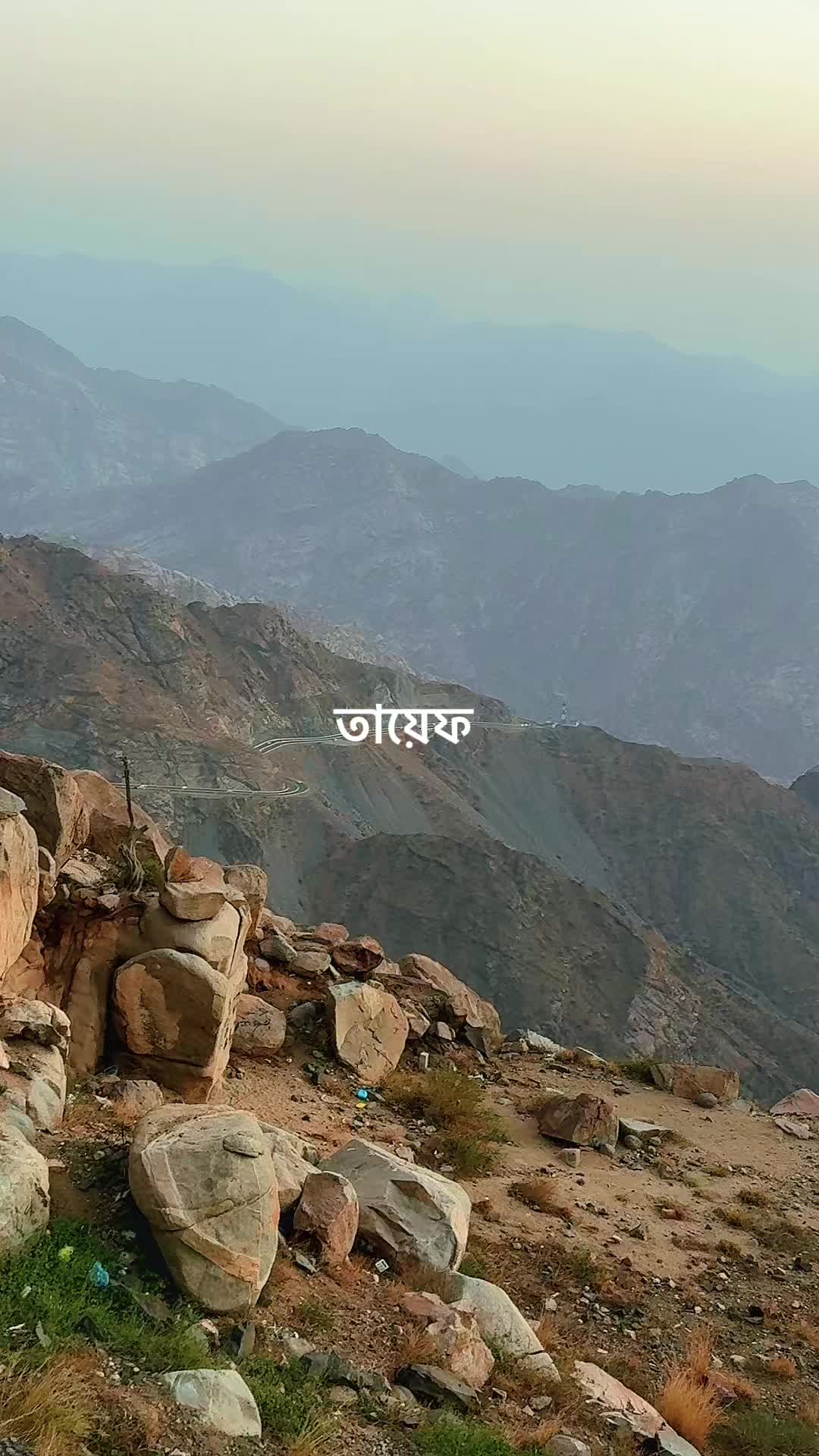 @تومي شودو امر