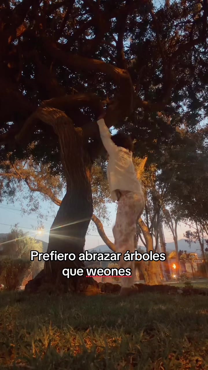 @Pilar Arana Griffiths