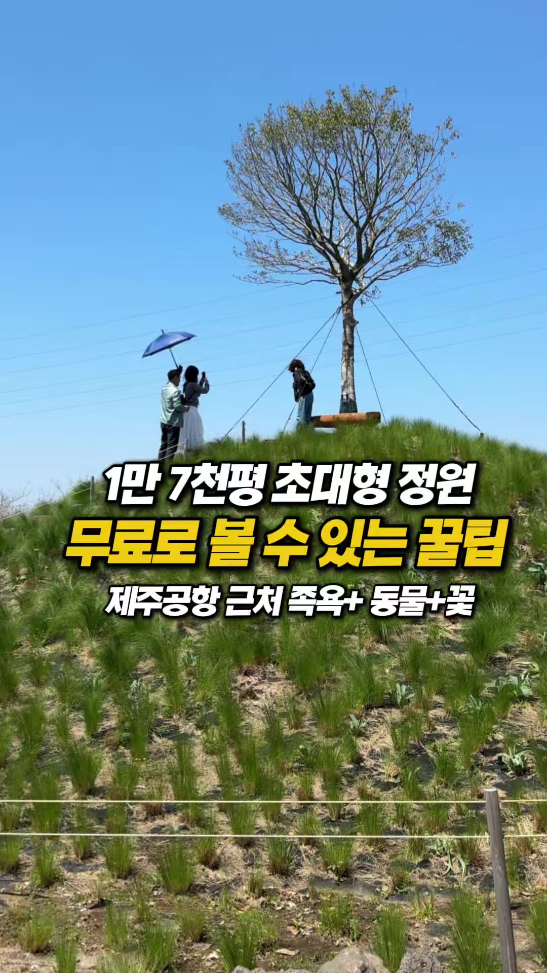 @몰빵