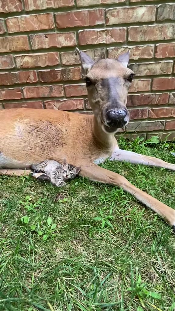 @Brownhikingtrails