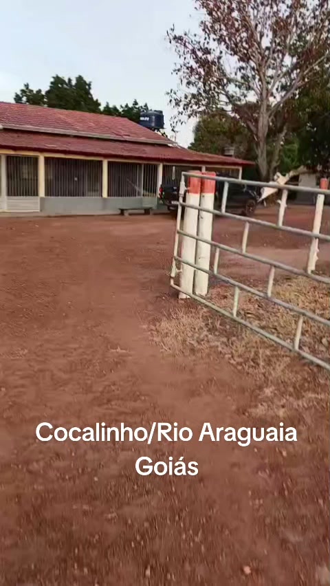 @Flávia Moreira Nascimento