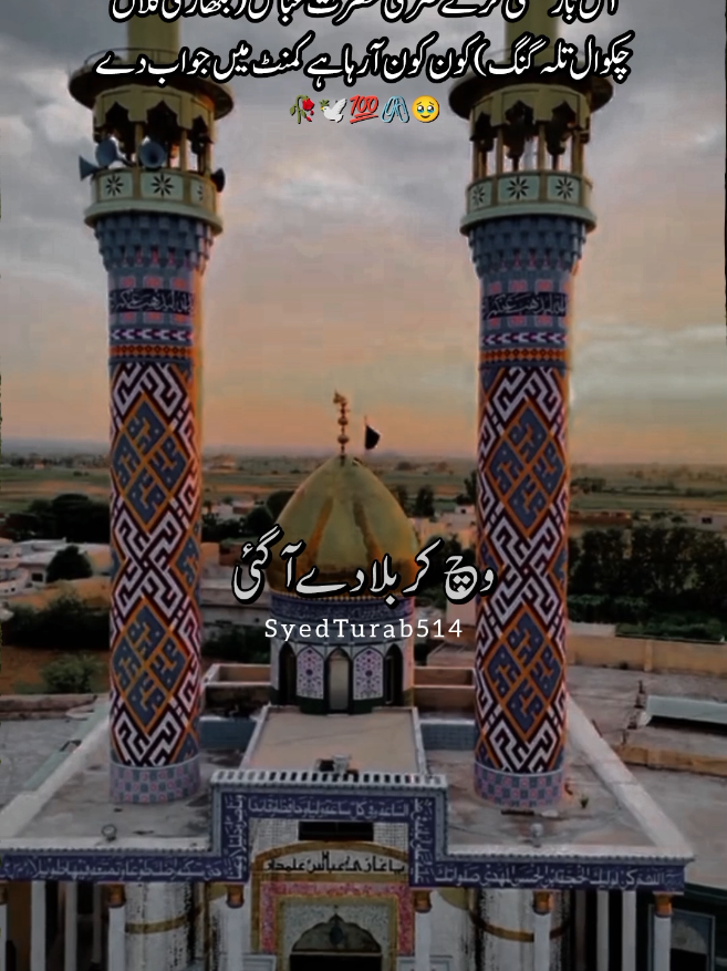 @سید علی ابوتراب ہمدانی