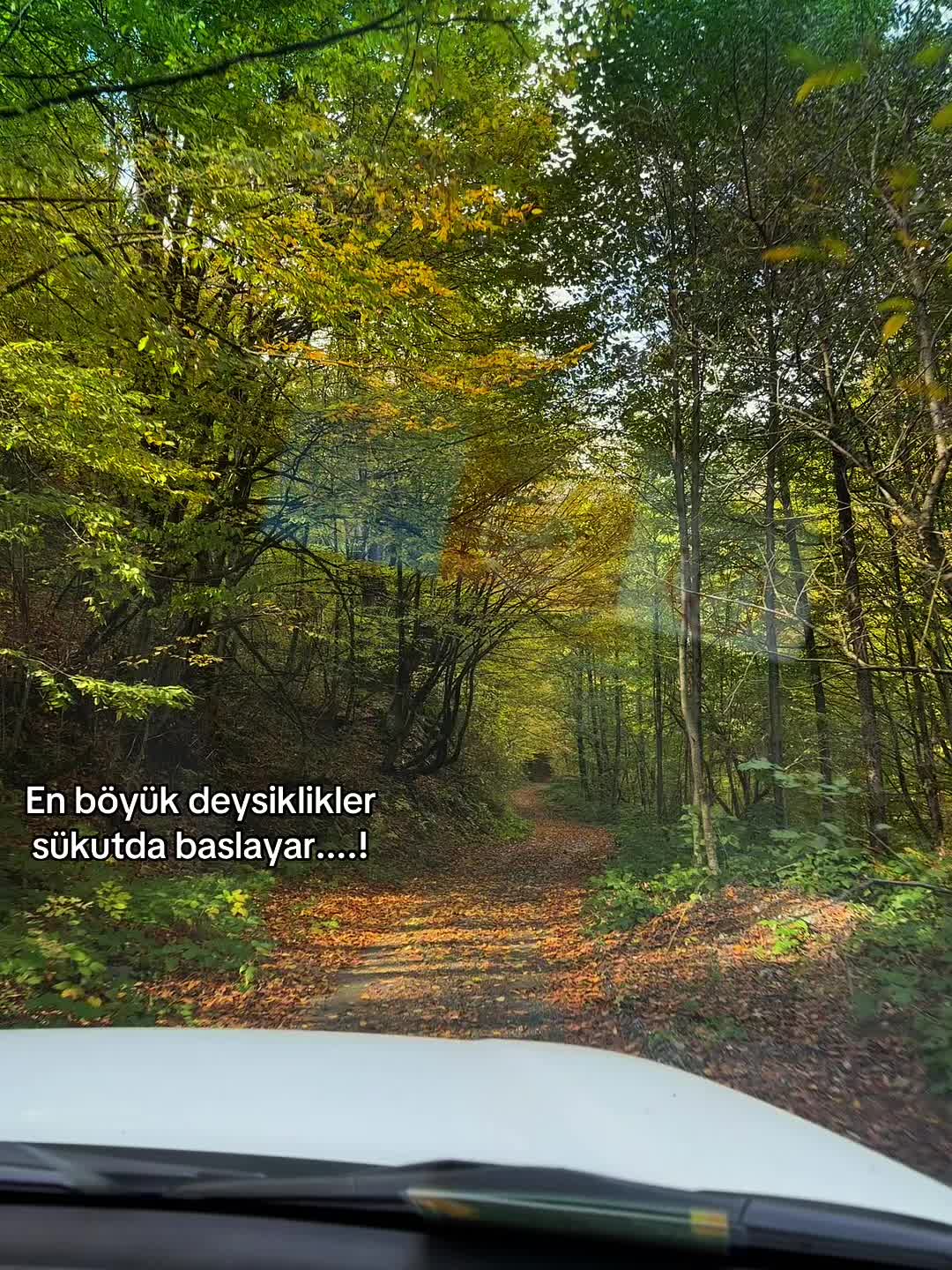 @m_sahin