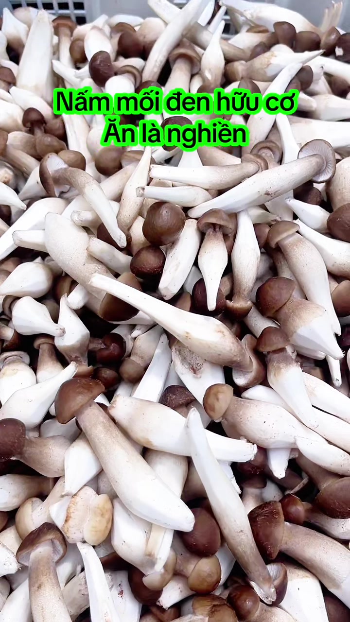 @nguyentuyet_79