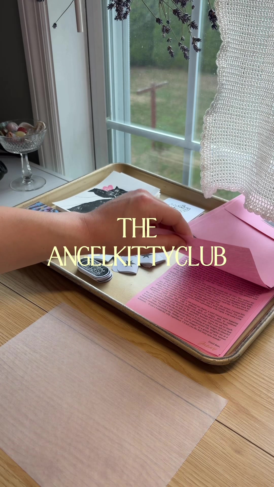 @julia ♡ the angelkittyclub