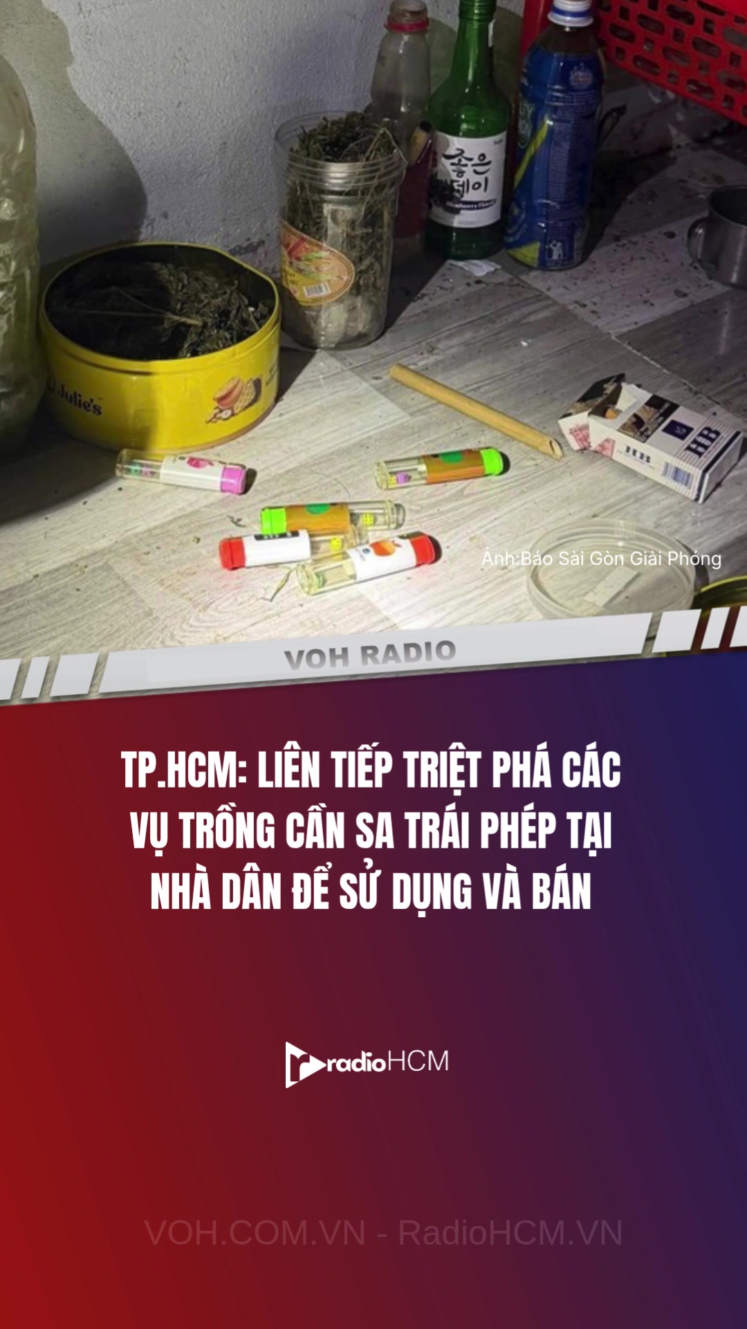 @VOH Tin Tức