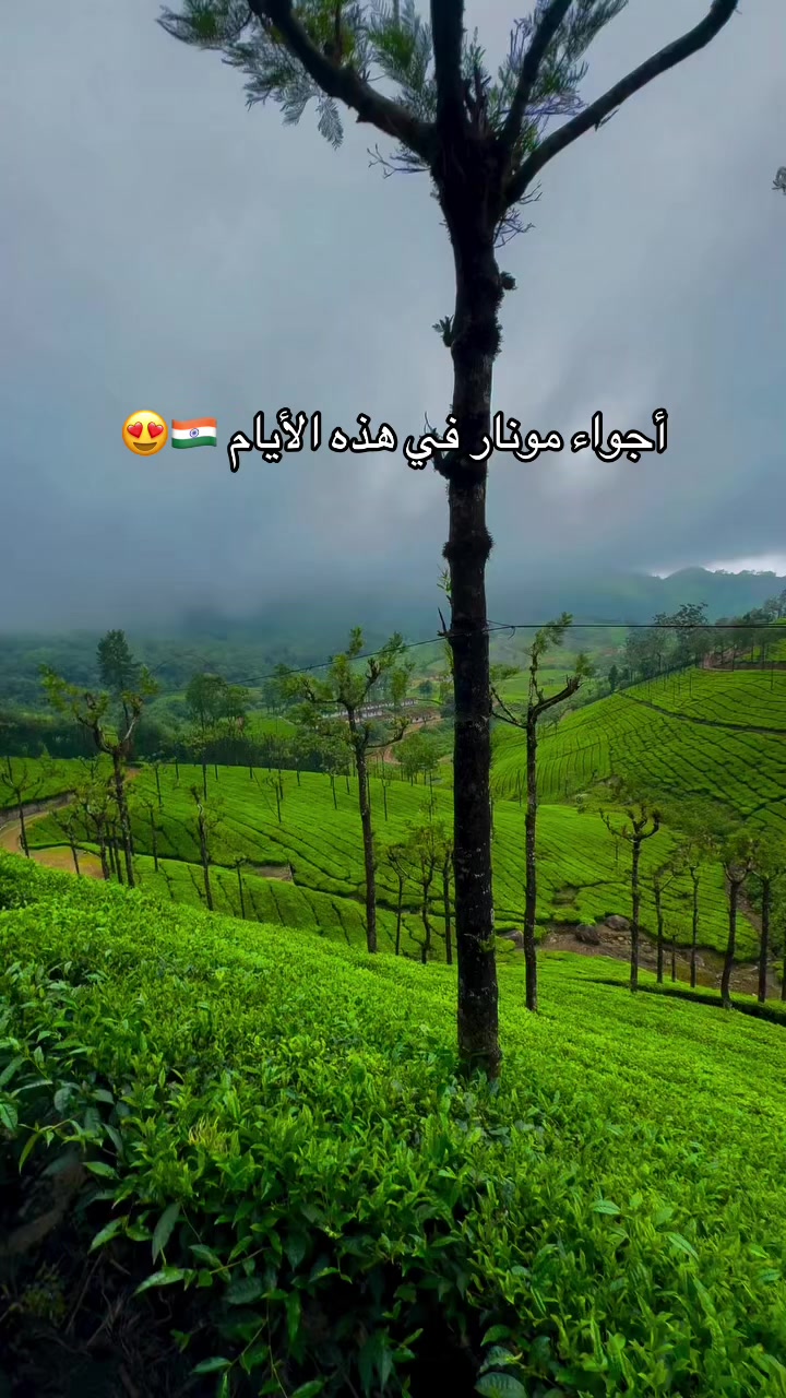 @محمد رافع الهندي🇮🇳