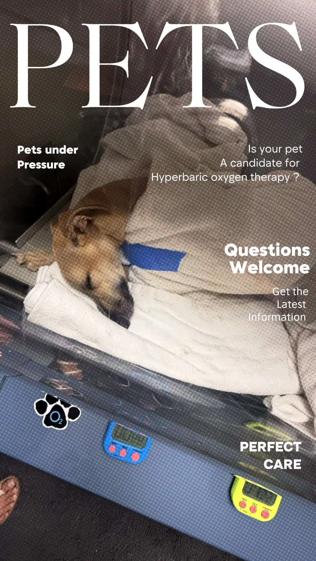 @#animalhyperbarics
