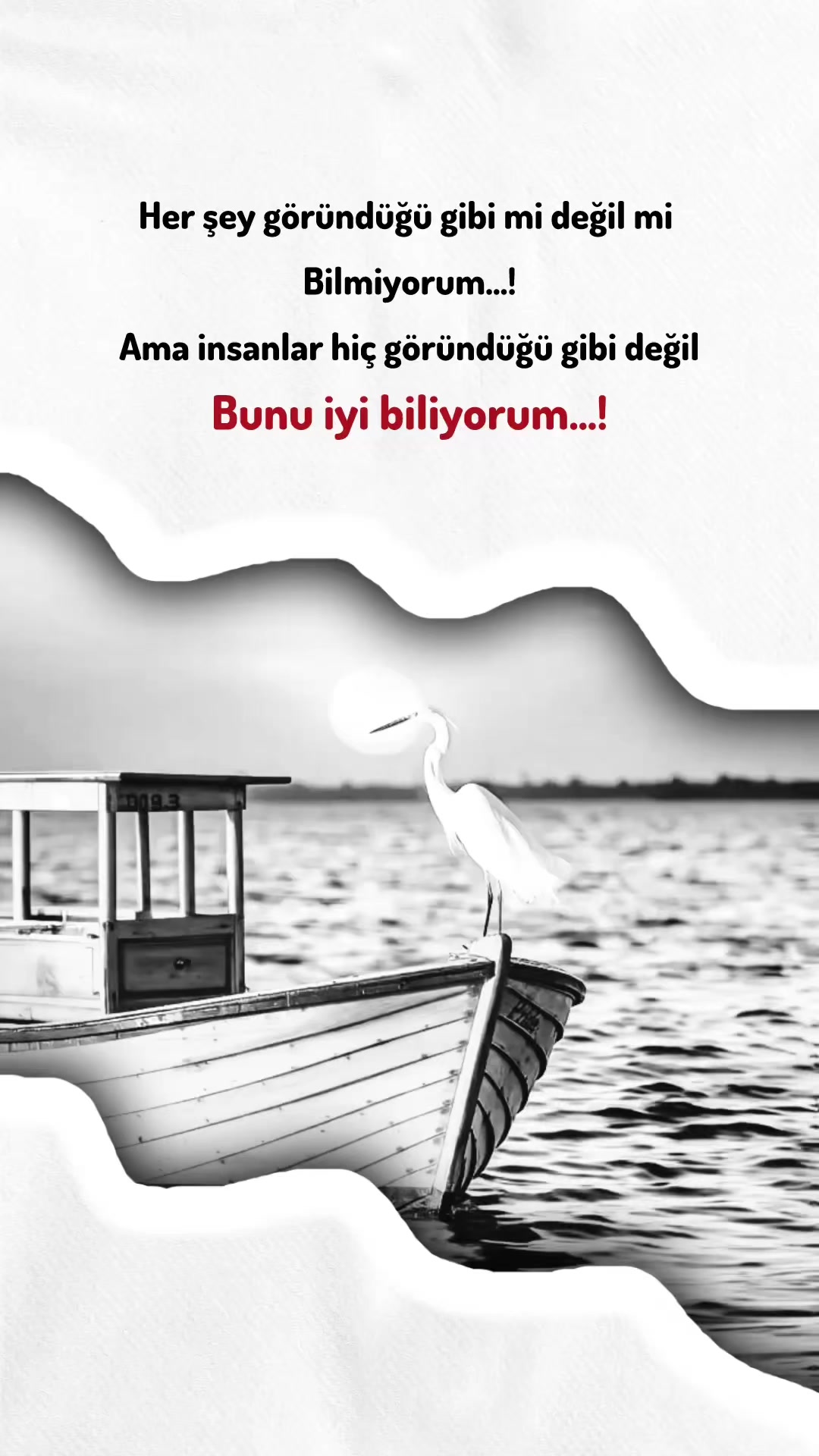 @𝑳𝒂𝒍 𝑪&uuml;𝒎𝒍𝒆𝒍𝒆𝒓✍️