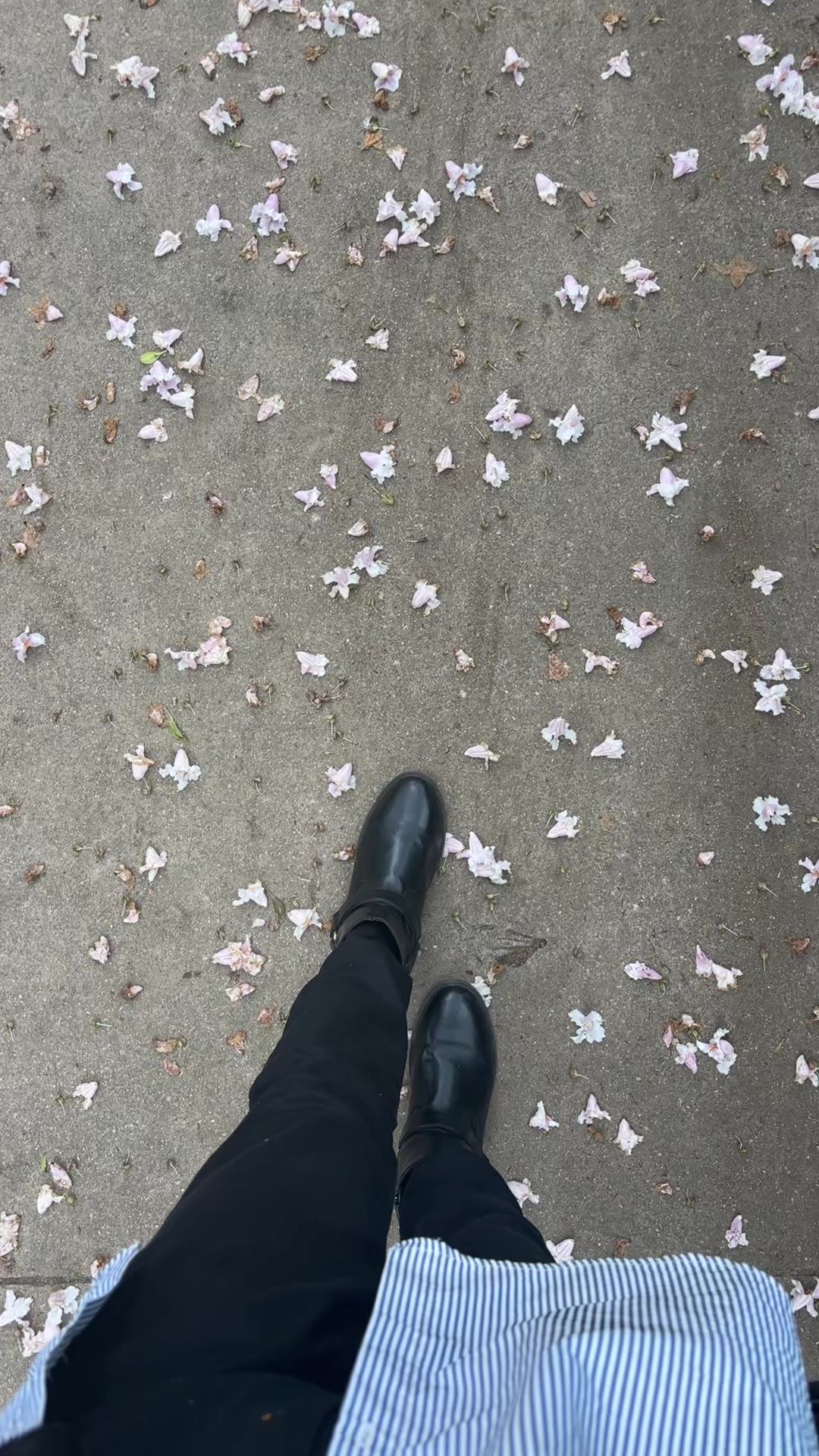 @NA🌸🪽