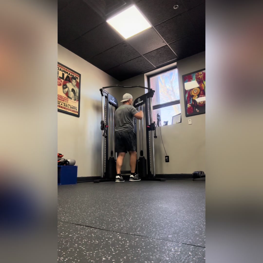 @Freddylive Fitness