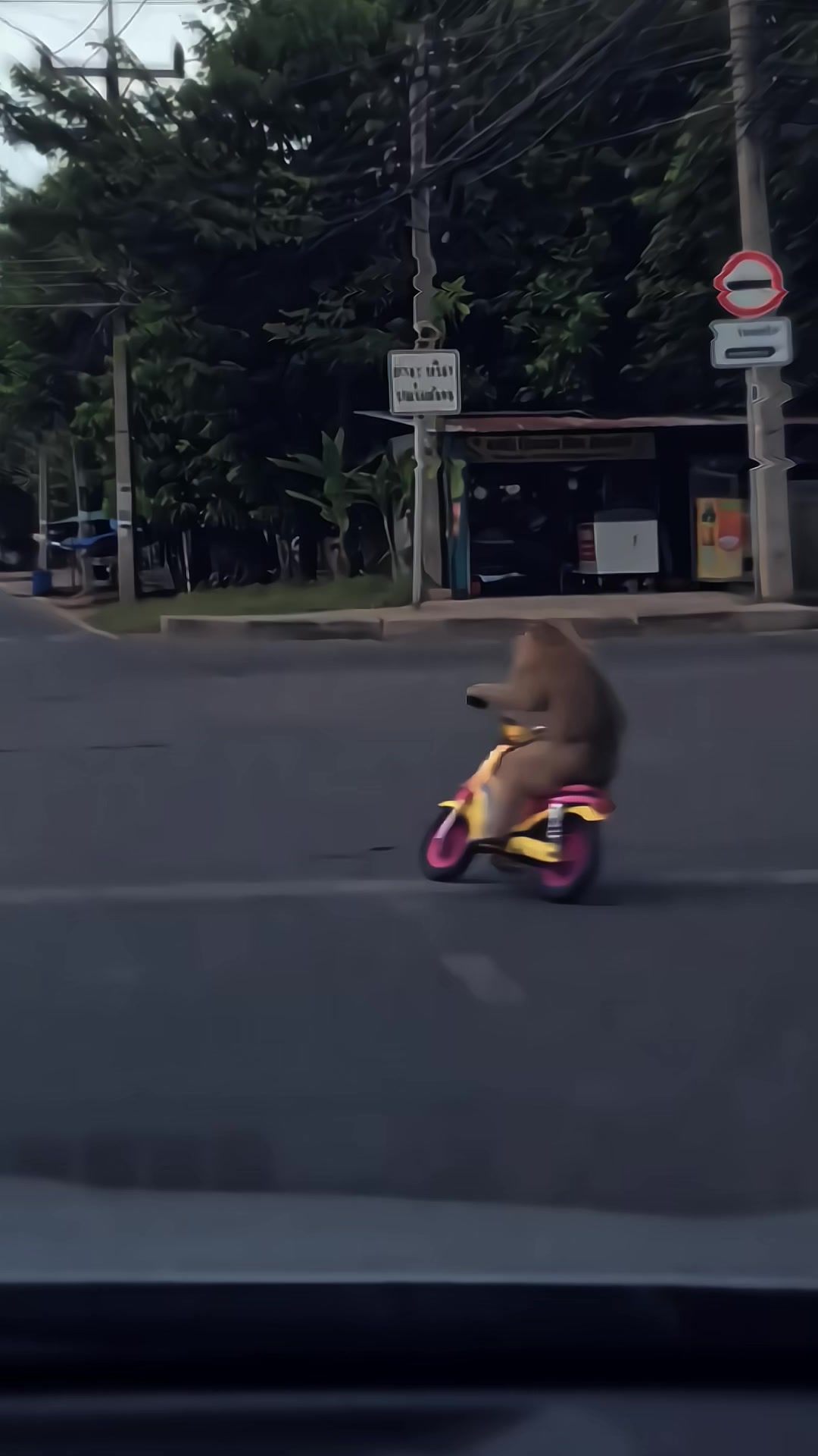 @𝐓 ؟