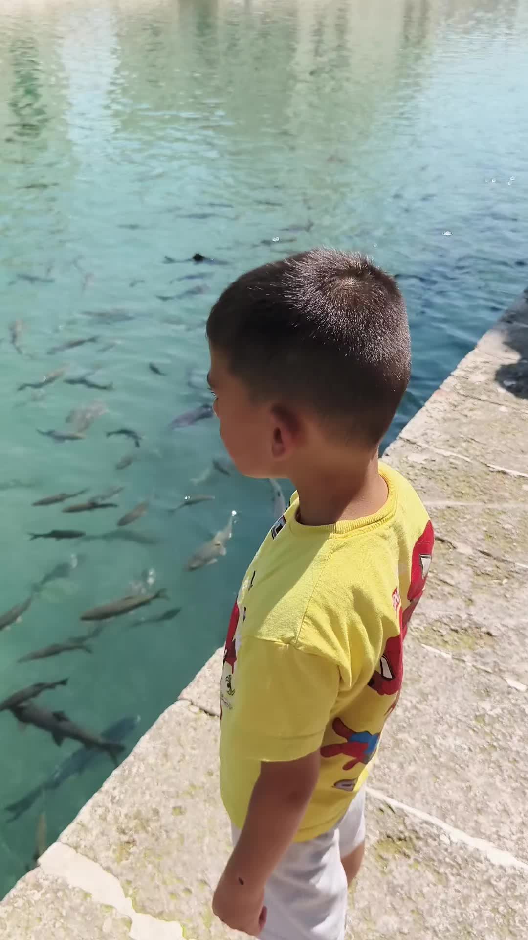 @Bayram Sağlam