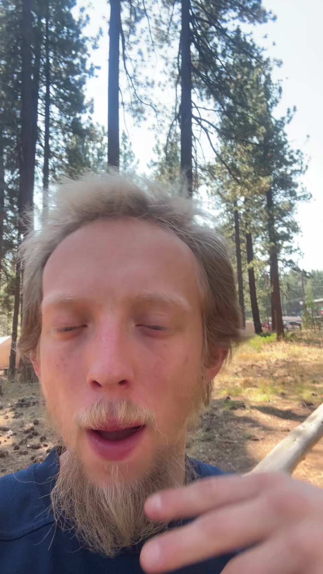 @Sebsmuse