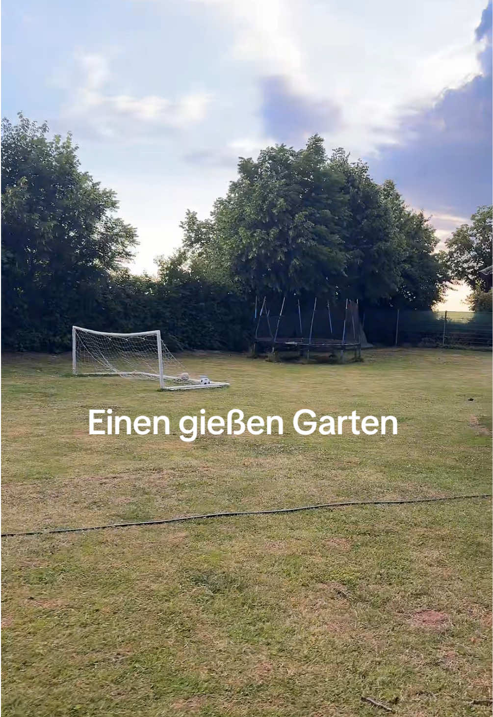 @Mauri Maus