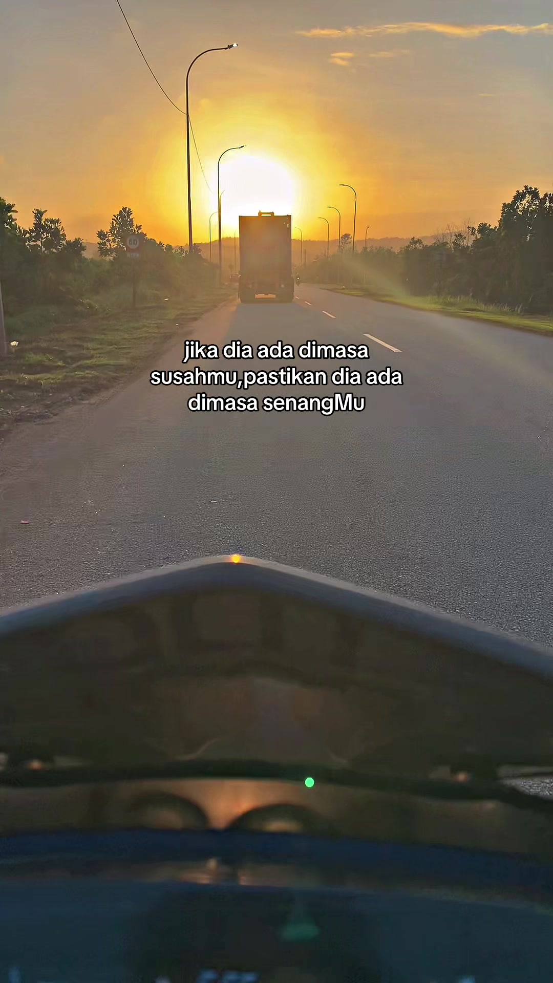 @AngSuzuran🇵🇸
