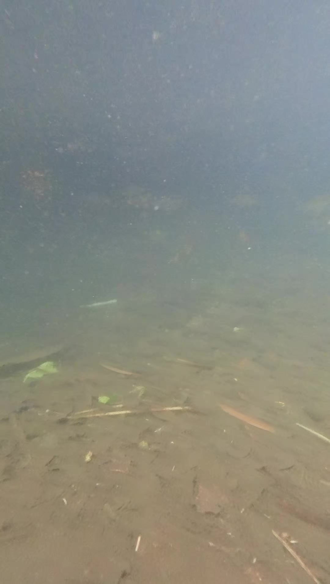 @Gasle Fishing