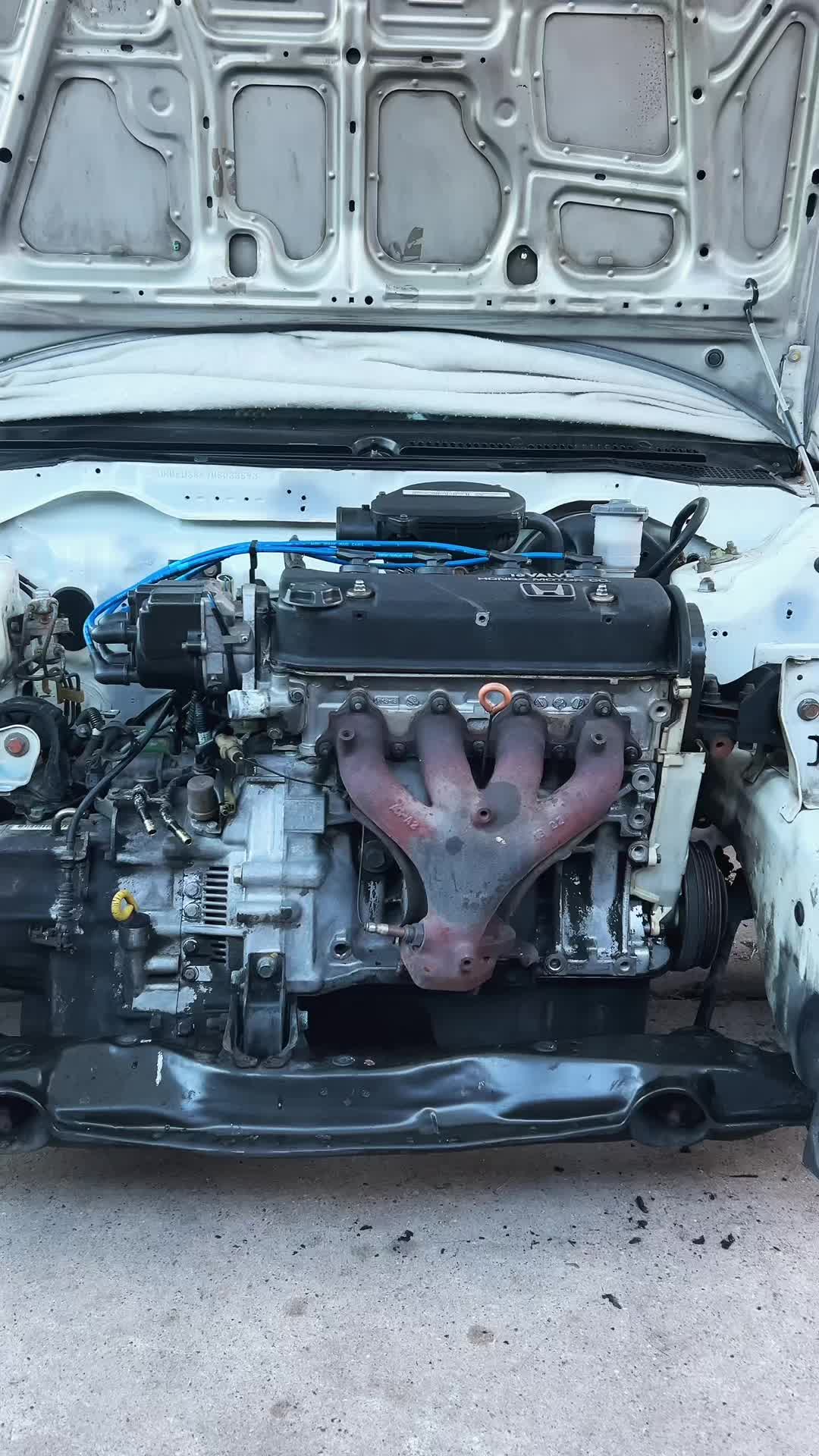 @txefsedan91