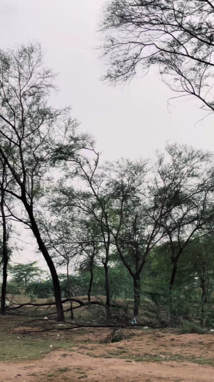 @Haمza🍁