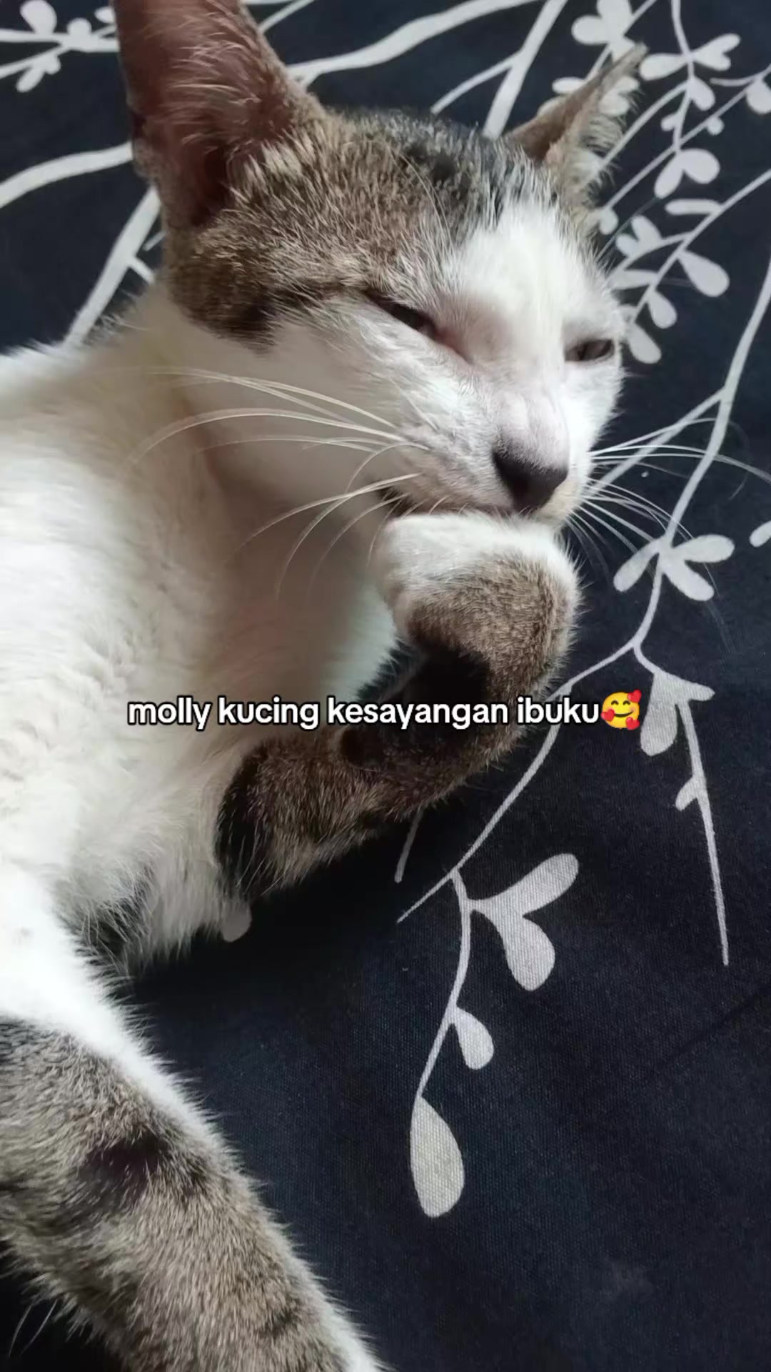 @Rizqi
