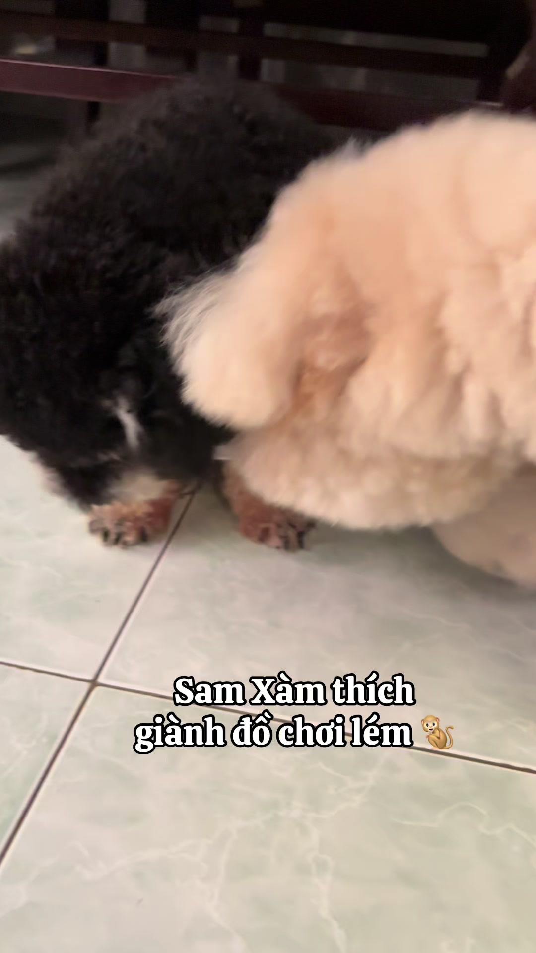 @Sam Xàm phiêu lưu ký