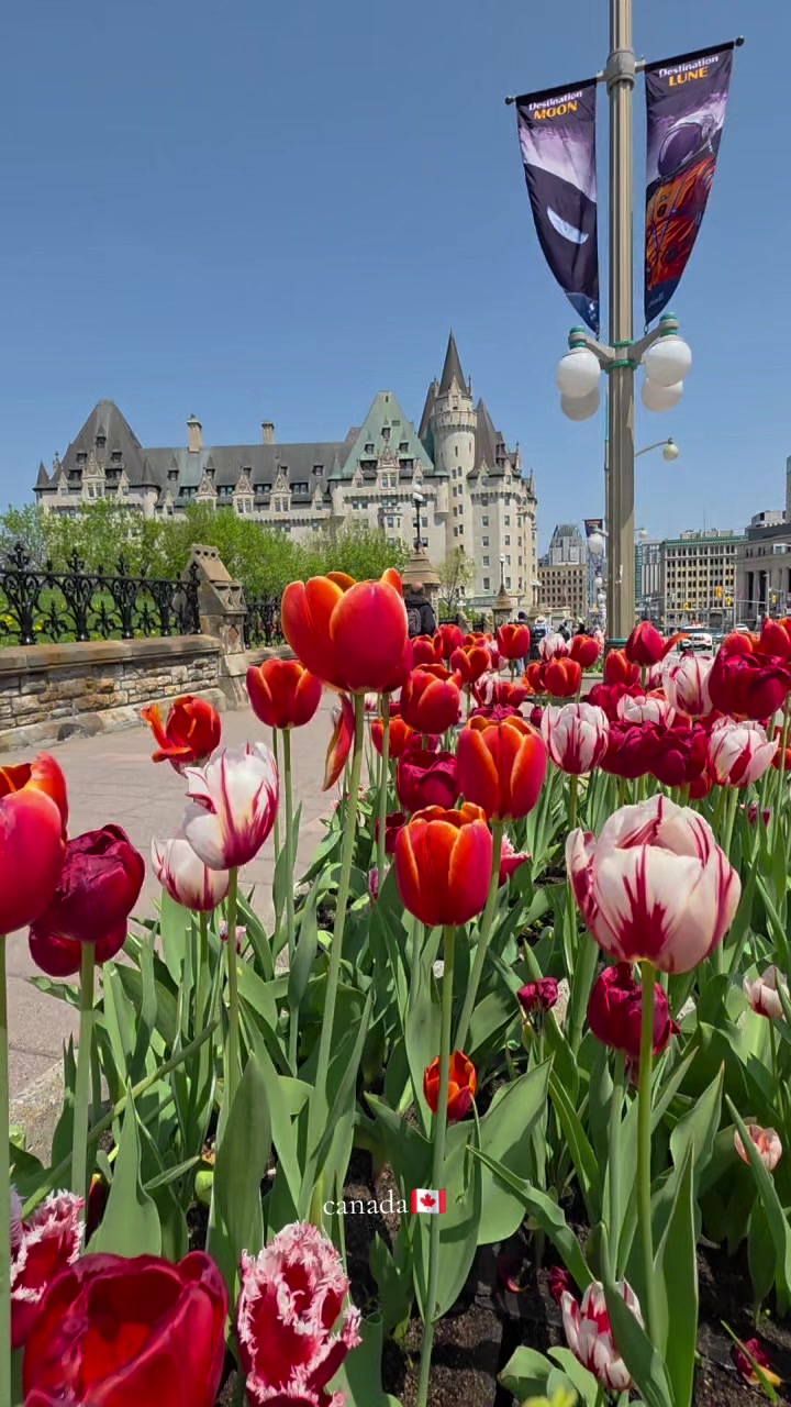 @travel/viaje🇨🇦porcanada
