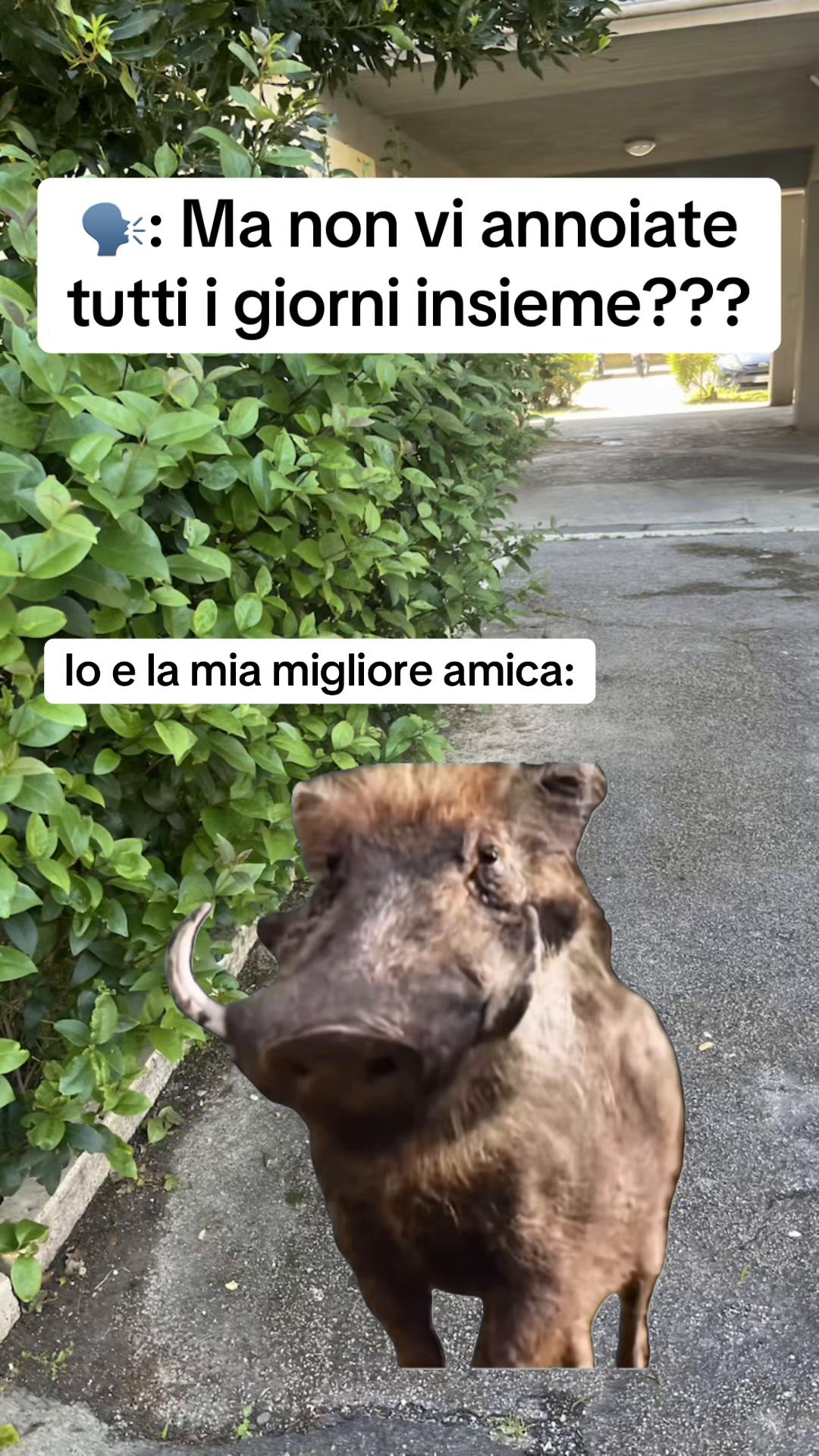 @LOLSempre😜😜