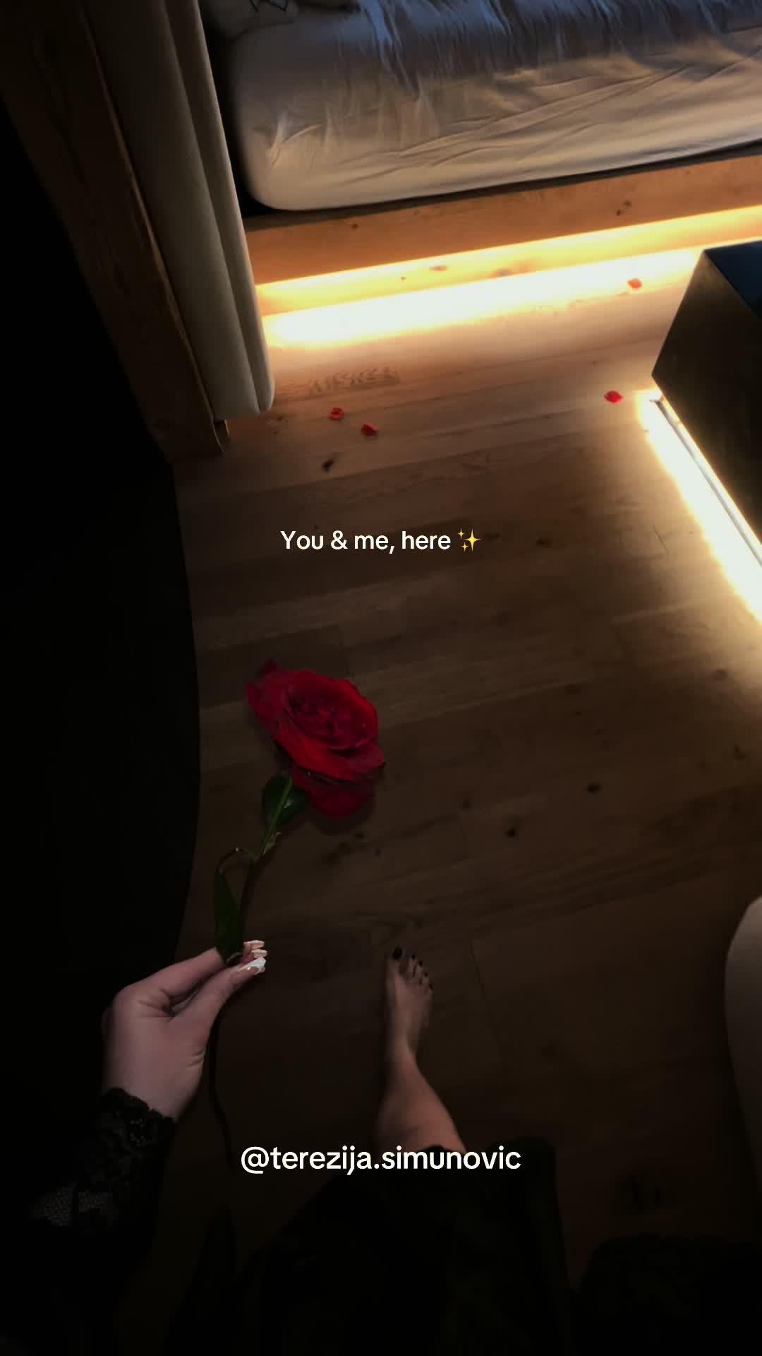 @Terezija 🌹
