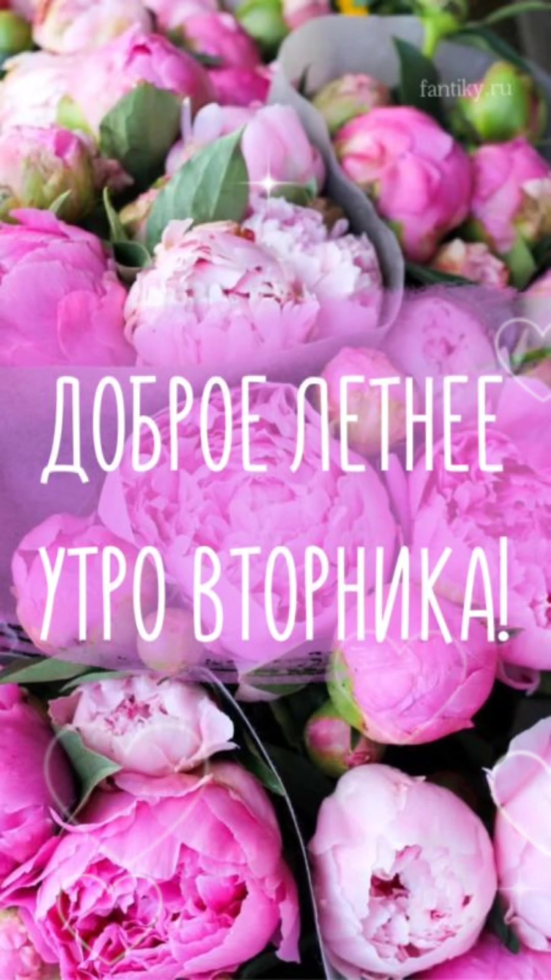 @olga