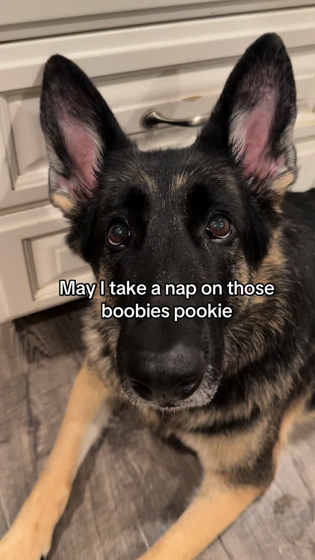 @Bhris
