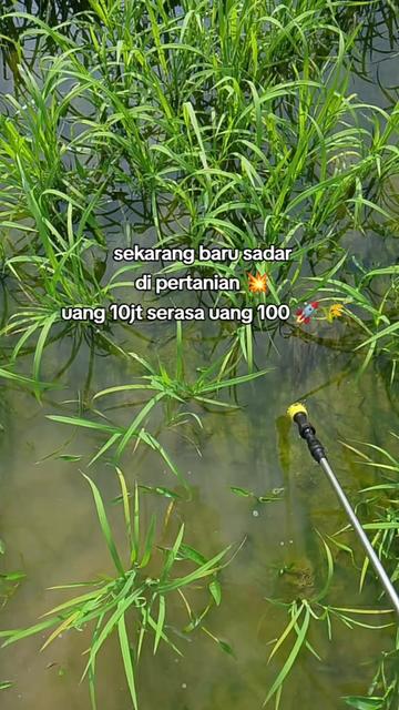 @ADHY 022🚀