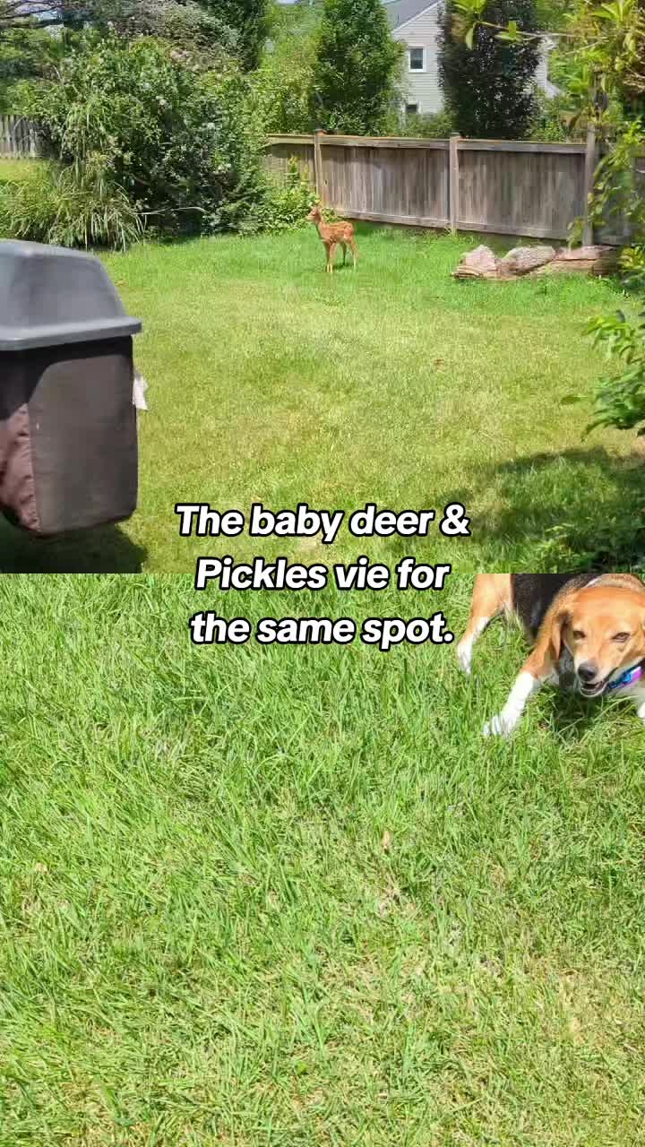 @Rob