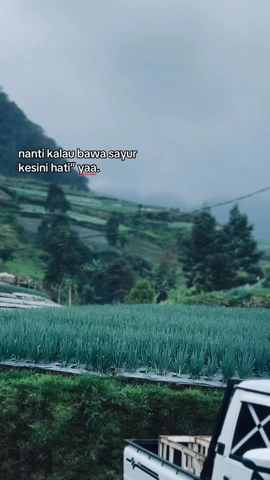 @waone