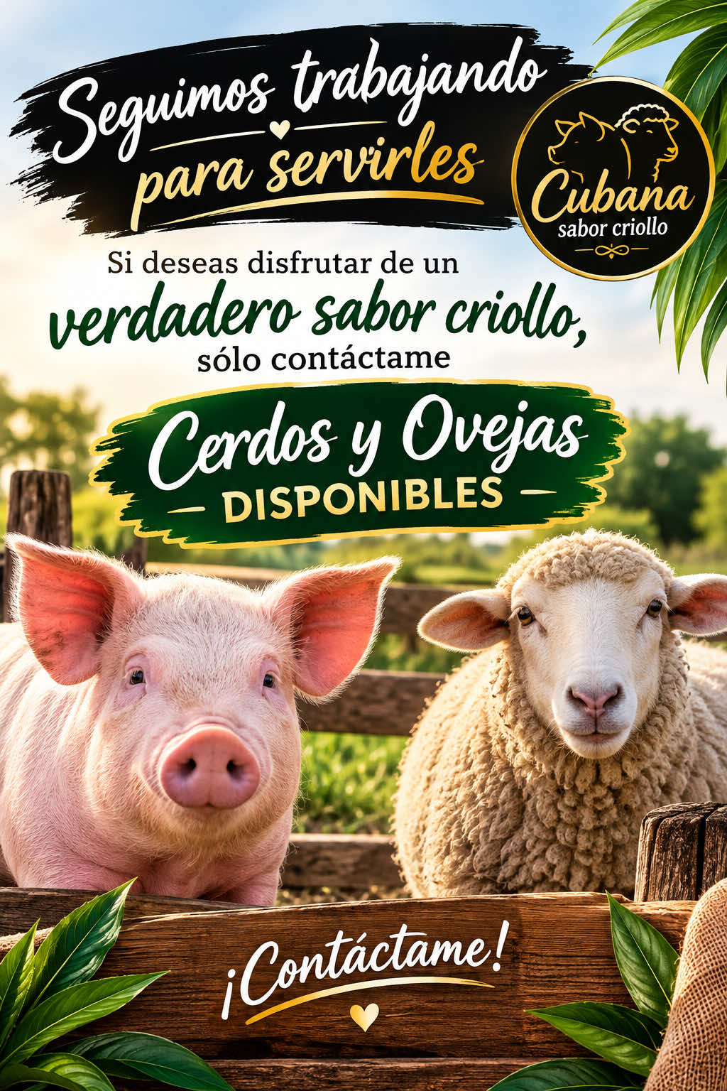 @cubanaporsiempreventas1