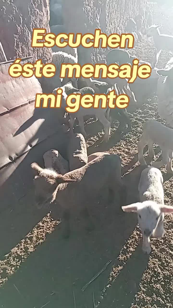 @lovera