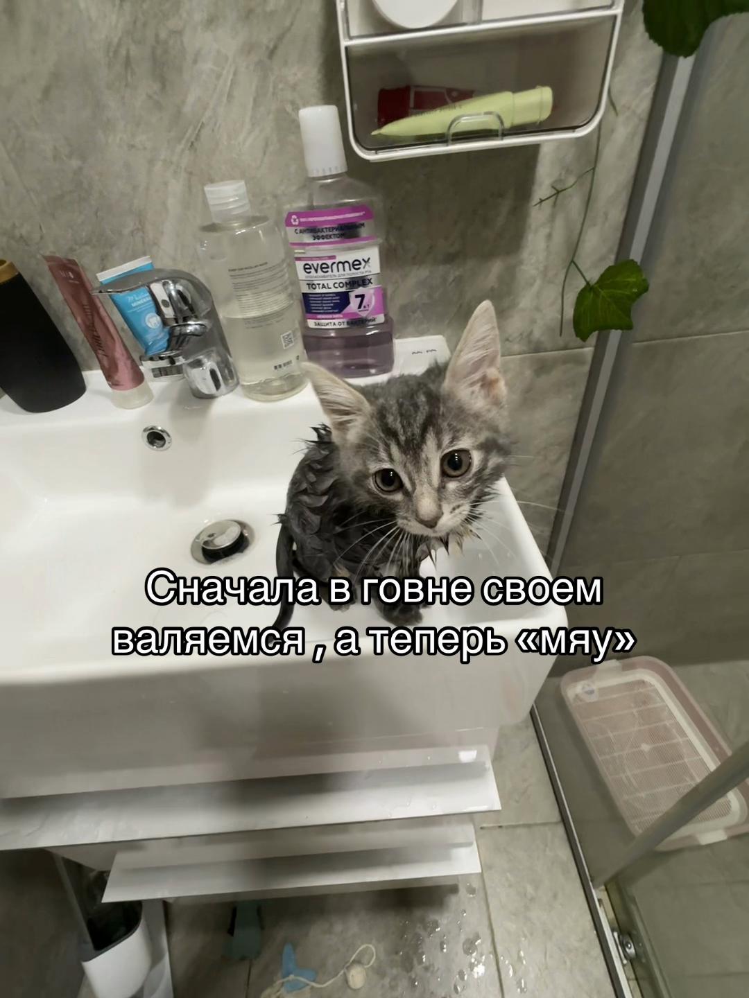 @бинго