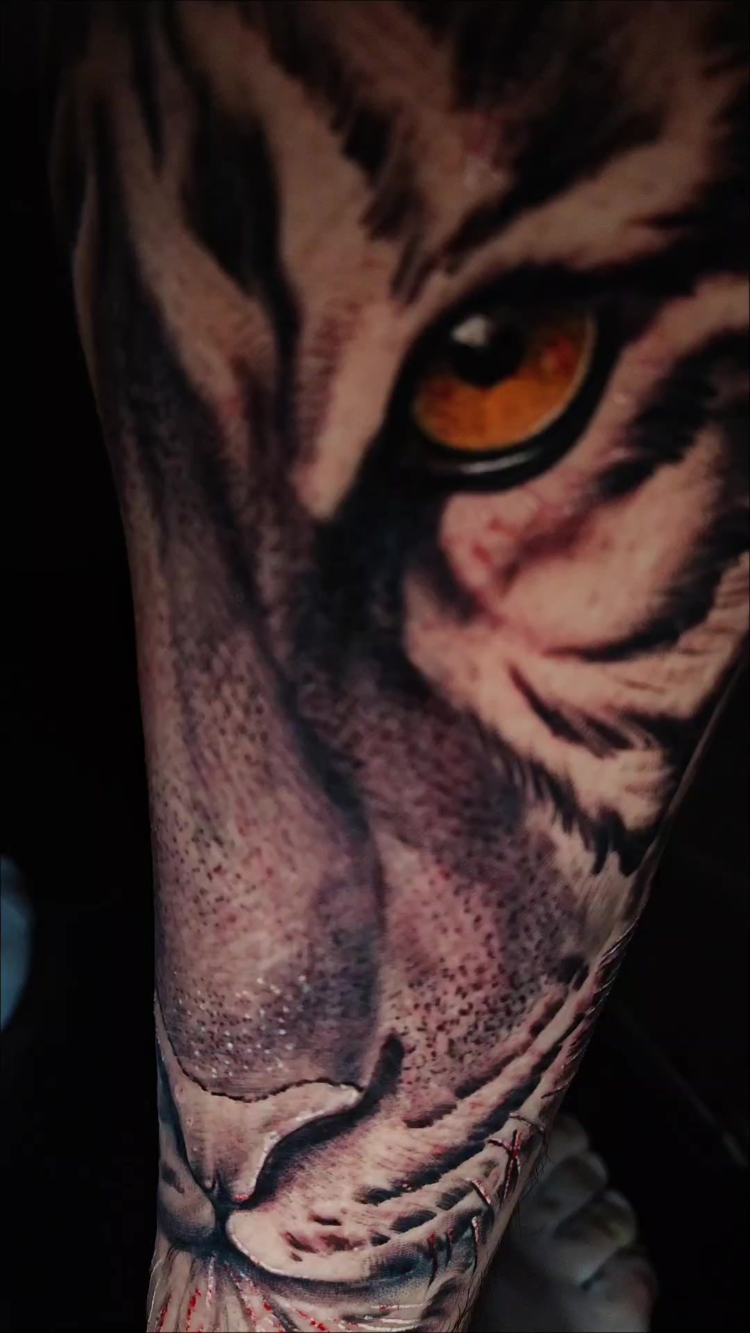 @Tattoo Phoenix